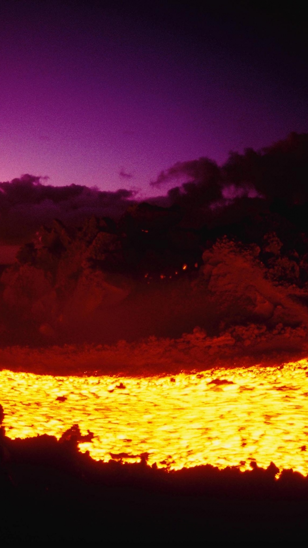 Green Trees and Brown Sand During Night Time. Wallpaper in 1080x1920 Resolution