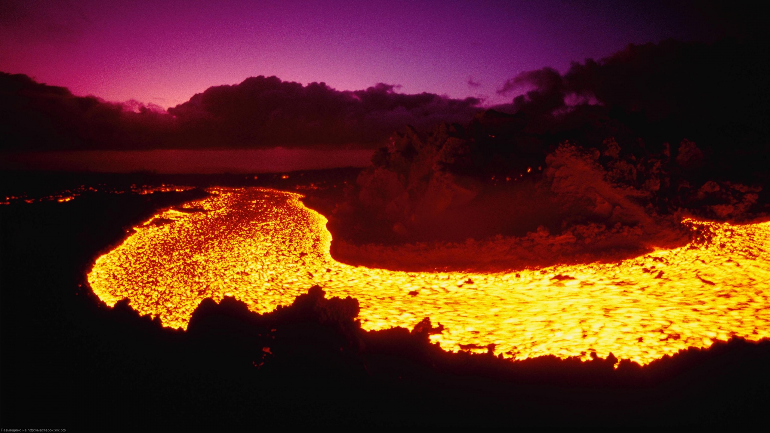Green Trees and Brown Sand During Night Time. Wallpaper in 2560x1440 Resolution