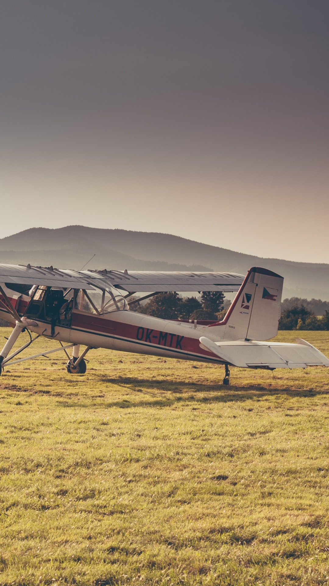 2 People Walking on Green Grass Field During Daytime. Wallpaper in 1080x1920 Resolution