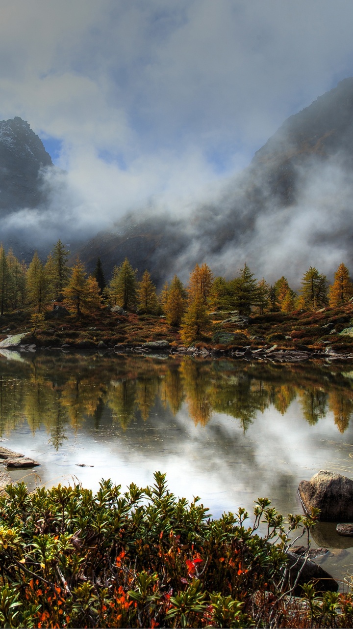 Green Trees Near Lake Under Cloudy Sky During Daytime. Wallpaper in 720x1280 Resolution