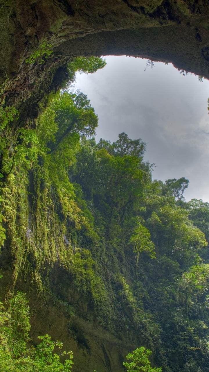 Green Trees Under White Clouds During Daytime. Wallpaper in 720x1280 Resolution