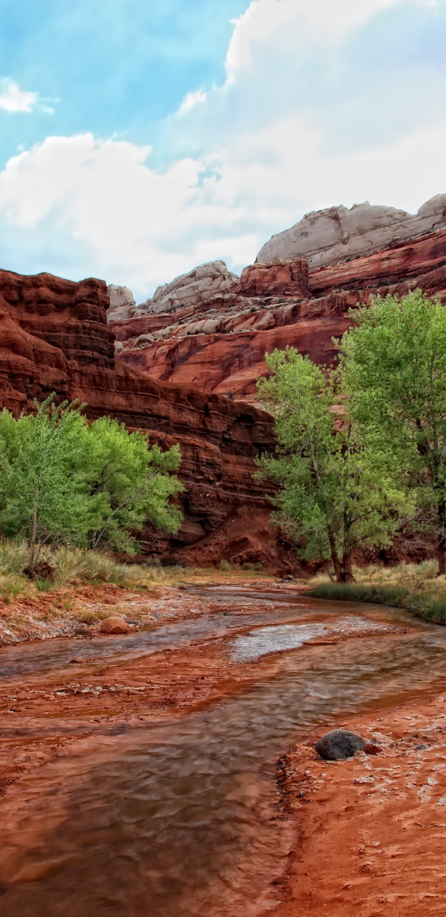 Montaña Rocosa Marrón Bajo un Cielo Azul Durante el Día. Wallpaper in 1440x2960 Resolution