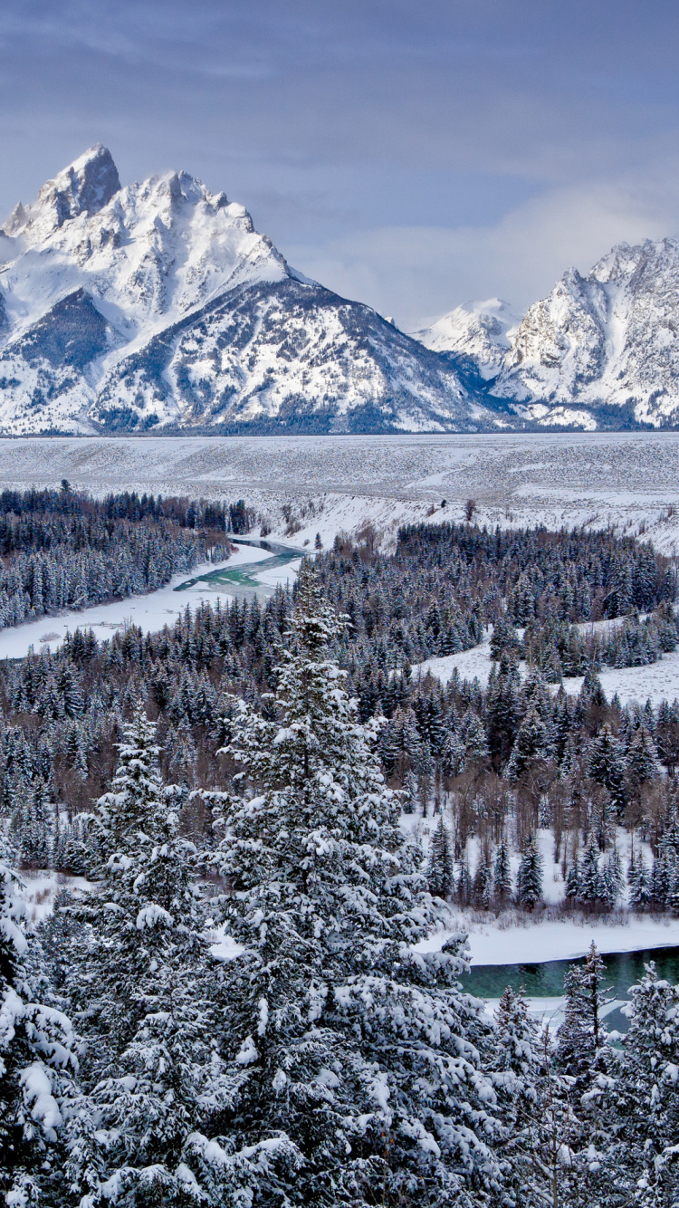 Árboles Cubiertos de Nieve y Montañas Durante el Día. Wallpaper in 750x1334 Resolution