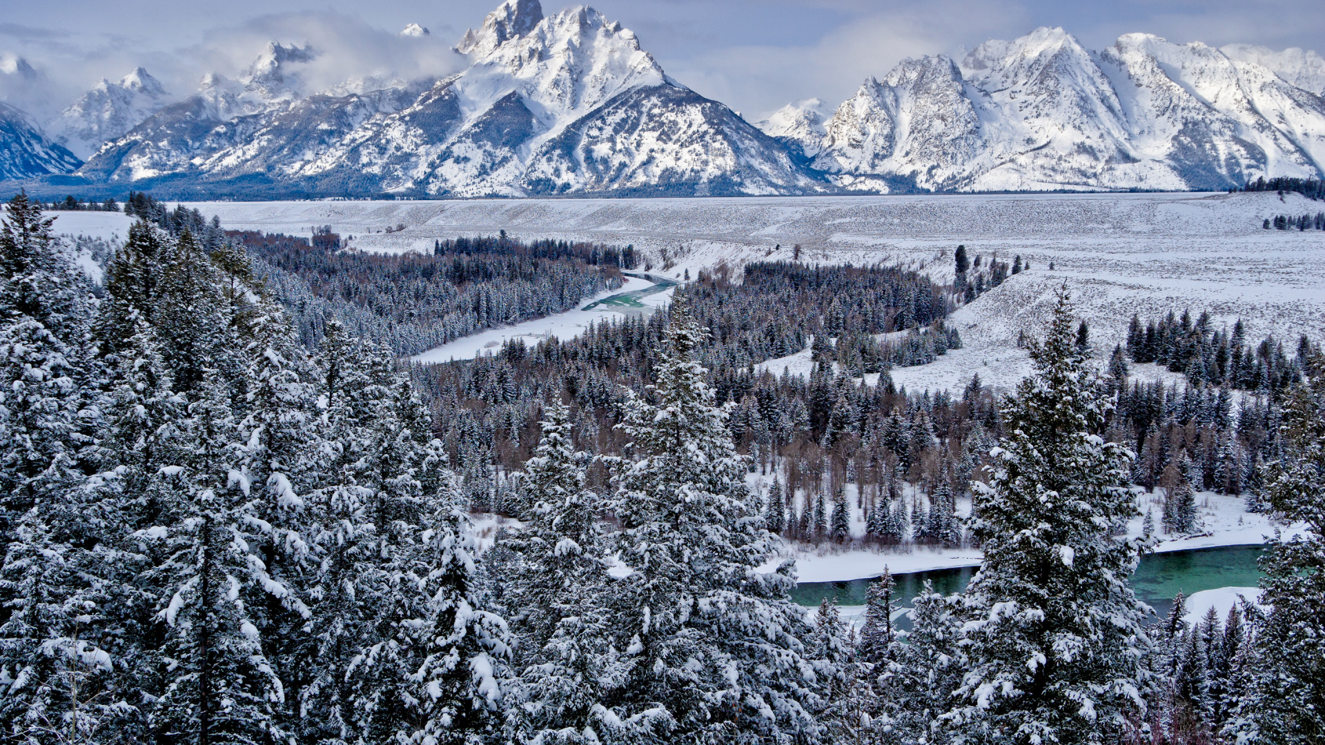 Snow Covered Trees and Mountains During Daytime. Wallpaper in 1920x1080 Resolution