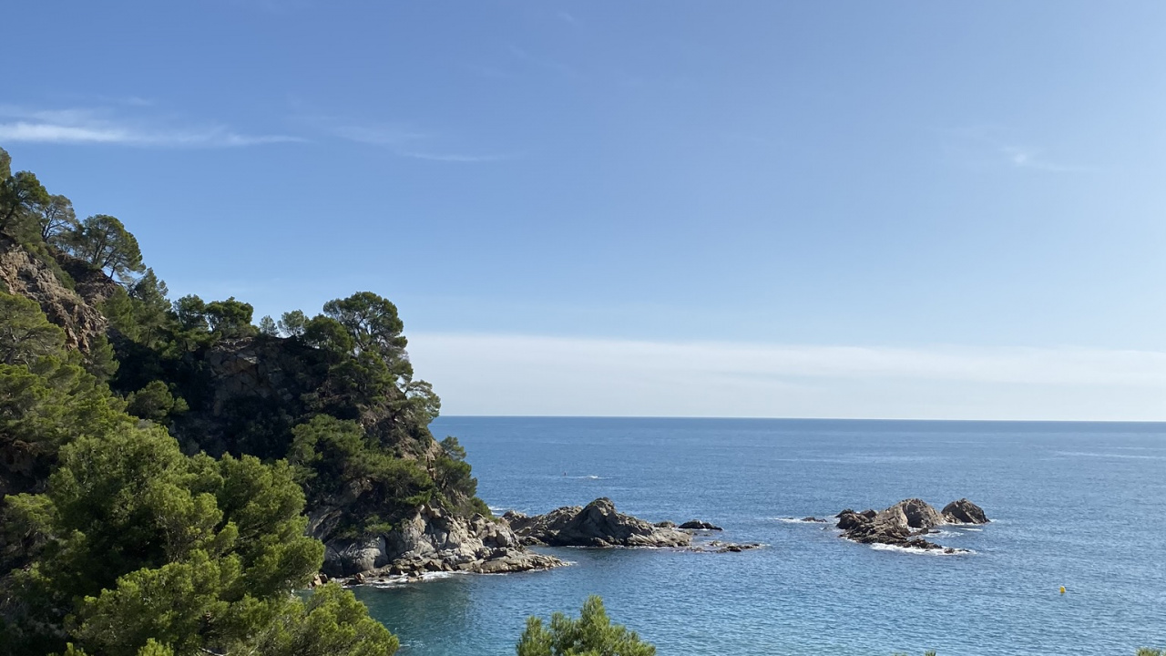 Coast, Sea, Vegetation, Ocean, Shore. Wallpaper in 1280x720 Resolution