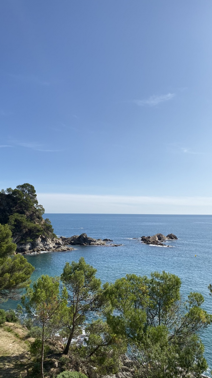 海岸, 大海, 植被, 海洋, 岸边 壁纸 720x1280 允许