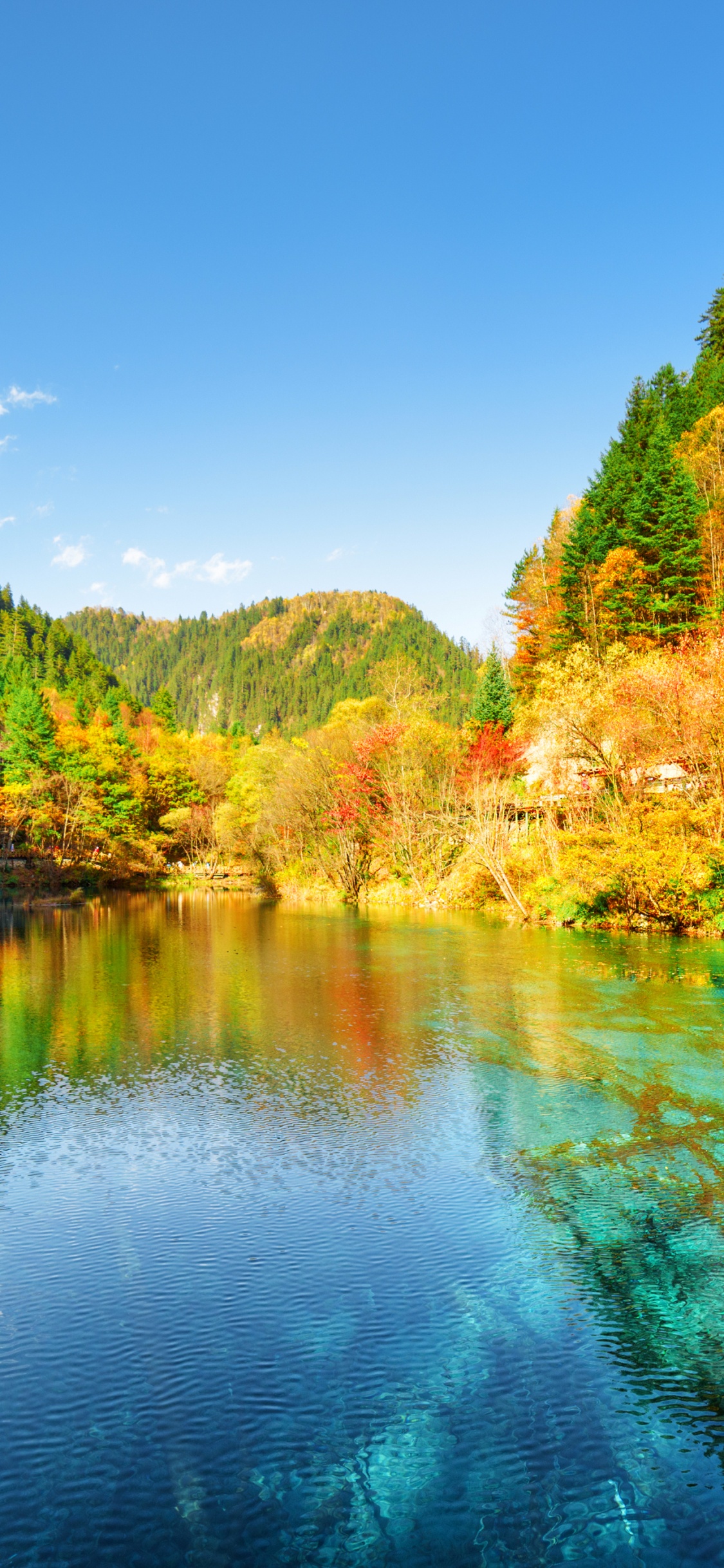 Jiuzhai Valley National Park, Nationalpark, Park, Illustration, Wasser. Wallpaper in 1125x2436 Resolution