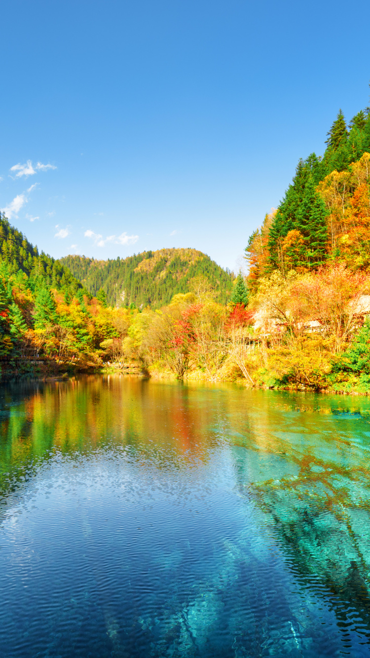 Jiuzhai Valley National Park, Nationalpark, Park, Illustration, Wasser. Wallpaper in 750x1334 Resolution