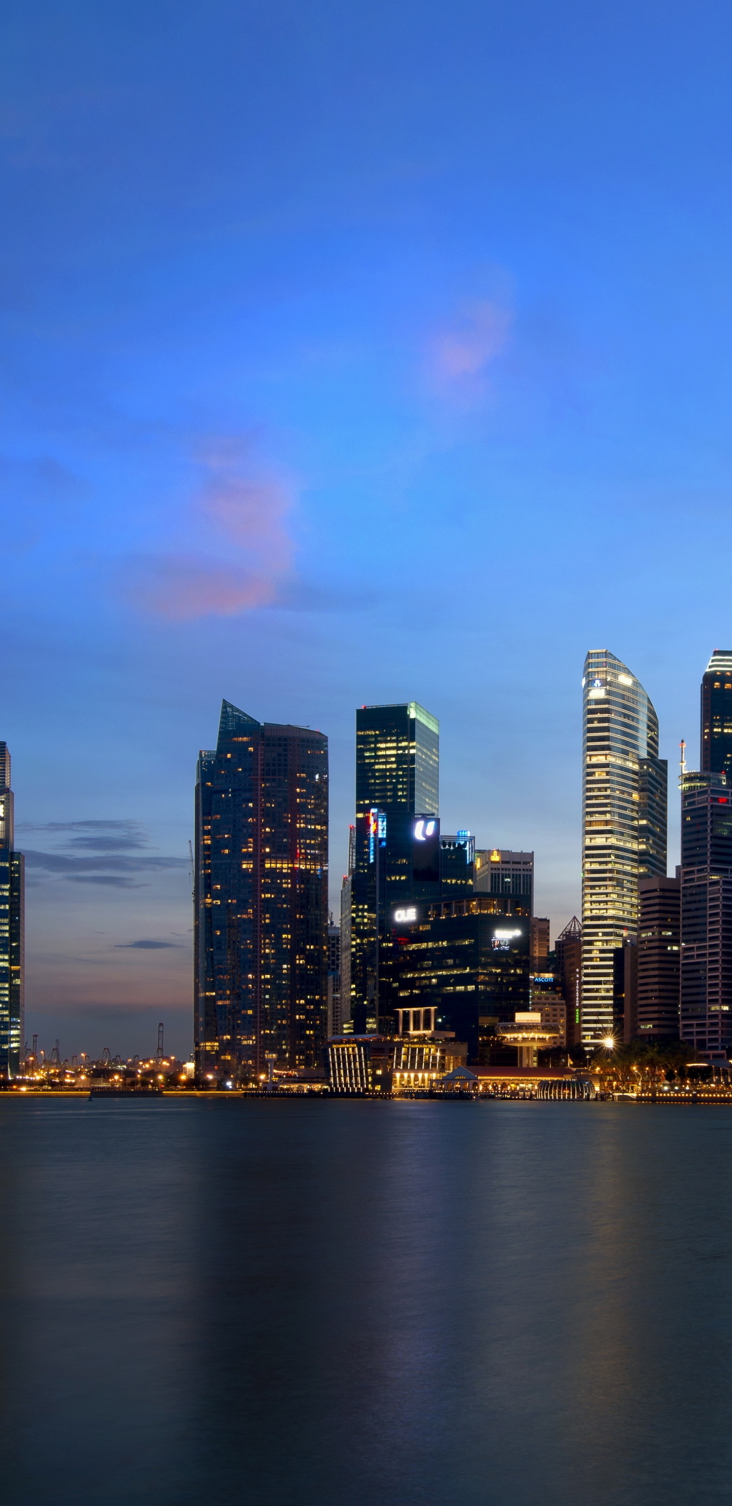 City Skyline Across Body of Water During Night Time. Wallpaper in 1440x2960 Resolution