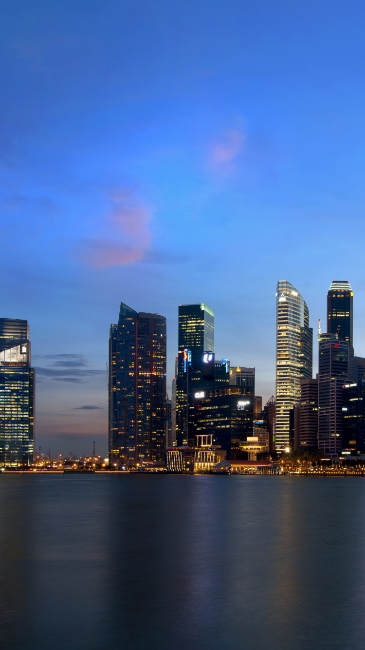 City Skyline Across Body of Water During Night Time. Wallpaper in 750x1334 Resolution