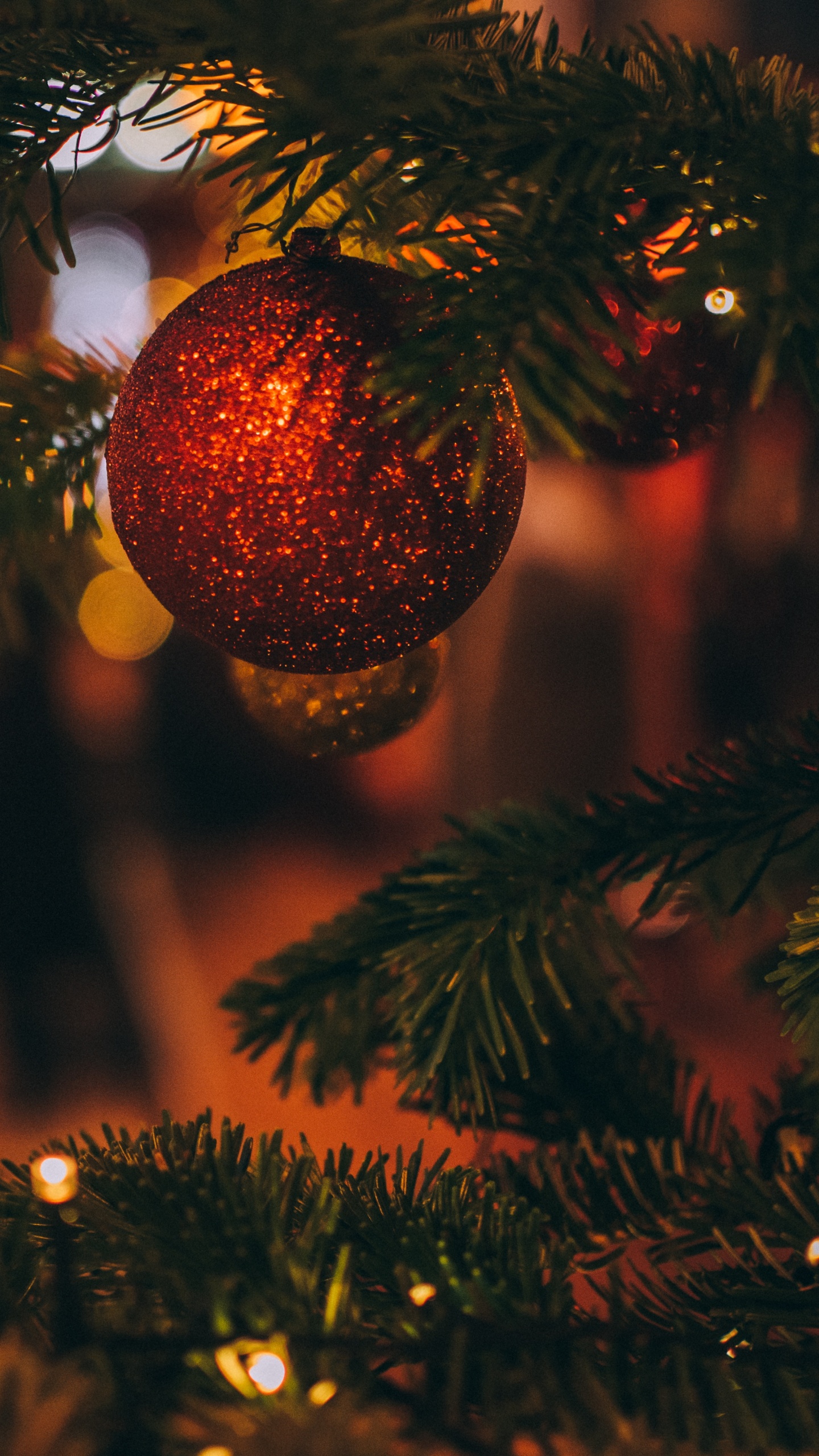 圣诞节那天, 圣诞树, 圣诞节的装饰品, 圣诞节, 云杉 壁纸 1440x2560 允许
