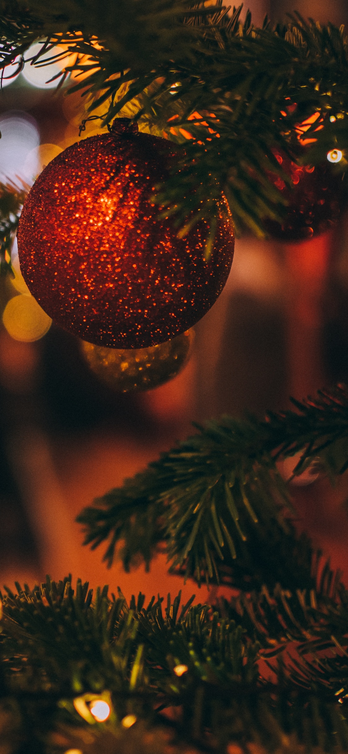Weihnachten, Weihnachtsbaum, Baum, Christmas Ornament, Fichte. Wallpaper in 1125x2436 Resolution