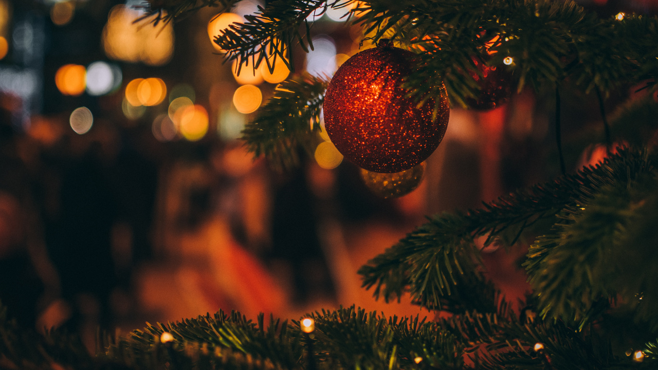 Weihnachten, Weihnachtsbaum, Baum, Christmas Ornament, Fichte. Wallpaper in 1280x720 Resolution