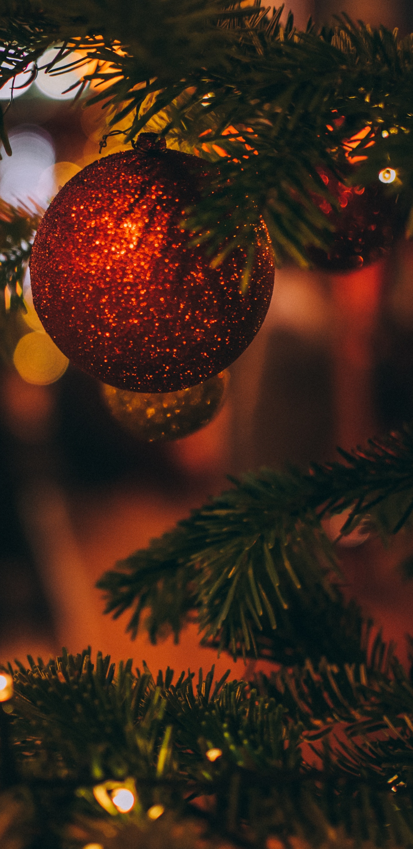 Weihnachten, Weihnachtsbaum, Baum, Christmas Ornament, Fichte. Wallpaper in 1440x2960 Resolution