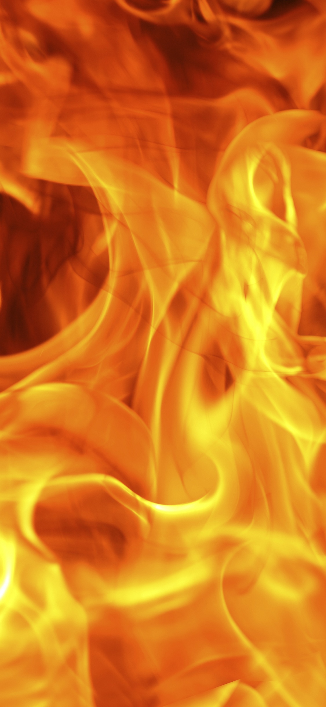 Orange and Red Fire Digital Wallpaper. Wallpaper in 1125x2436 Resolution