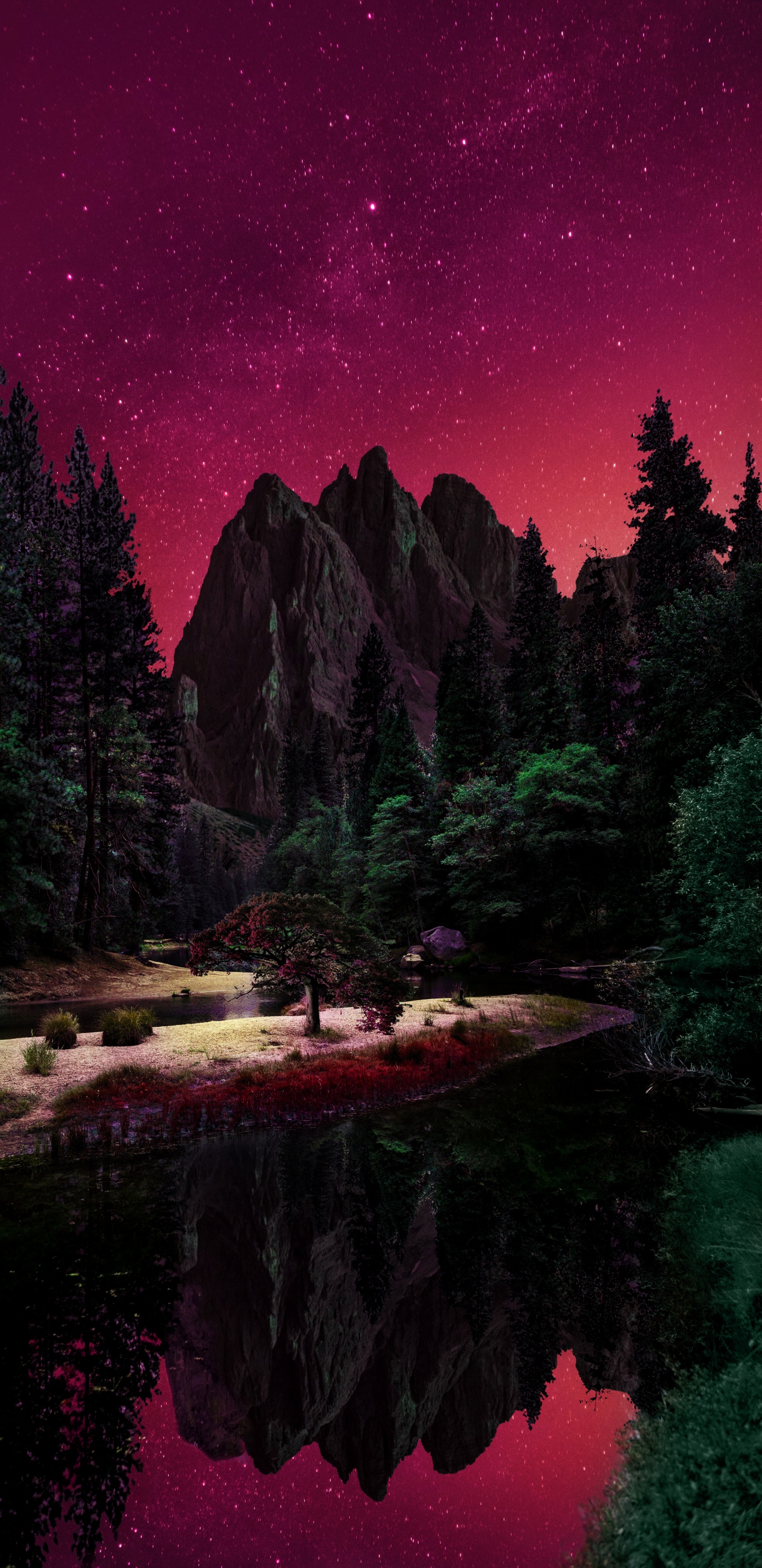 Nature, Water, Plant, World, Natural Landscape. Wallpaper in 1440x2960 Resolution