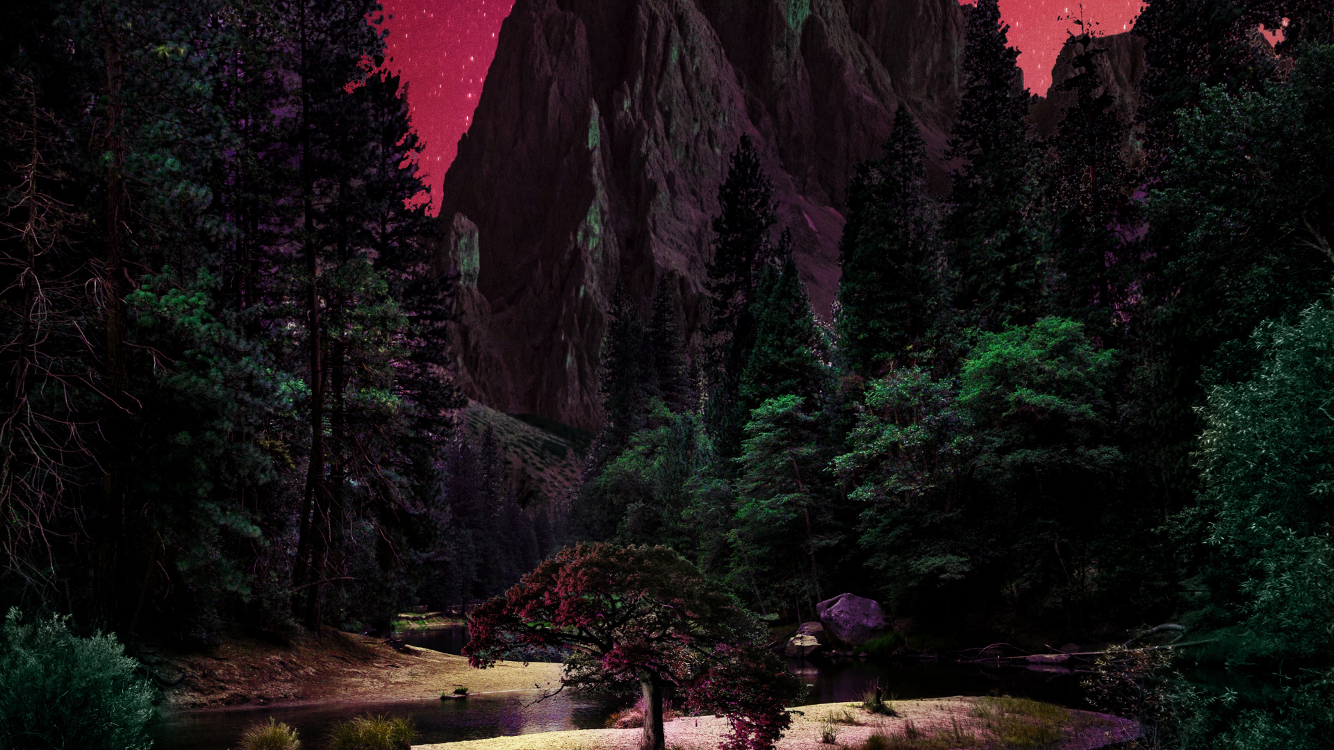 Nature, Water, Plant, World, Natural Landscape. Wallpaper in 1920x1080 Resolution