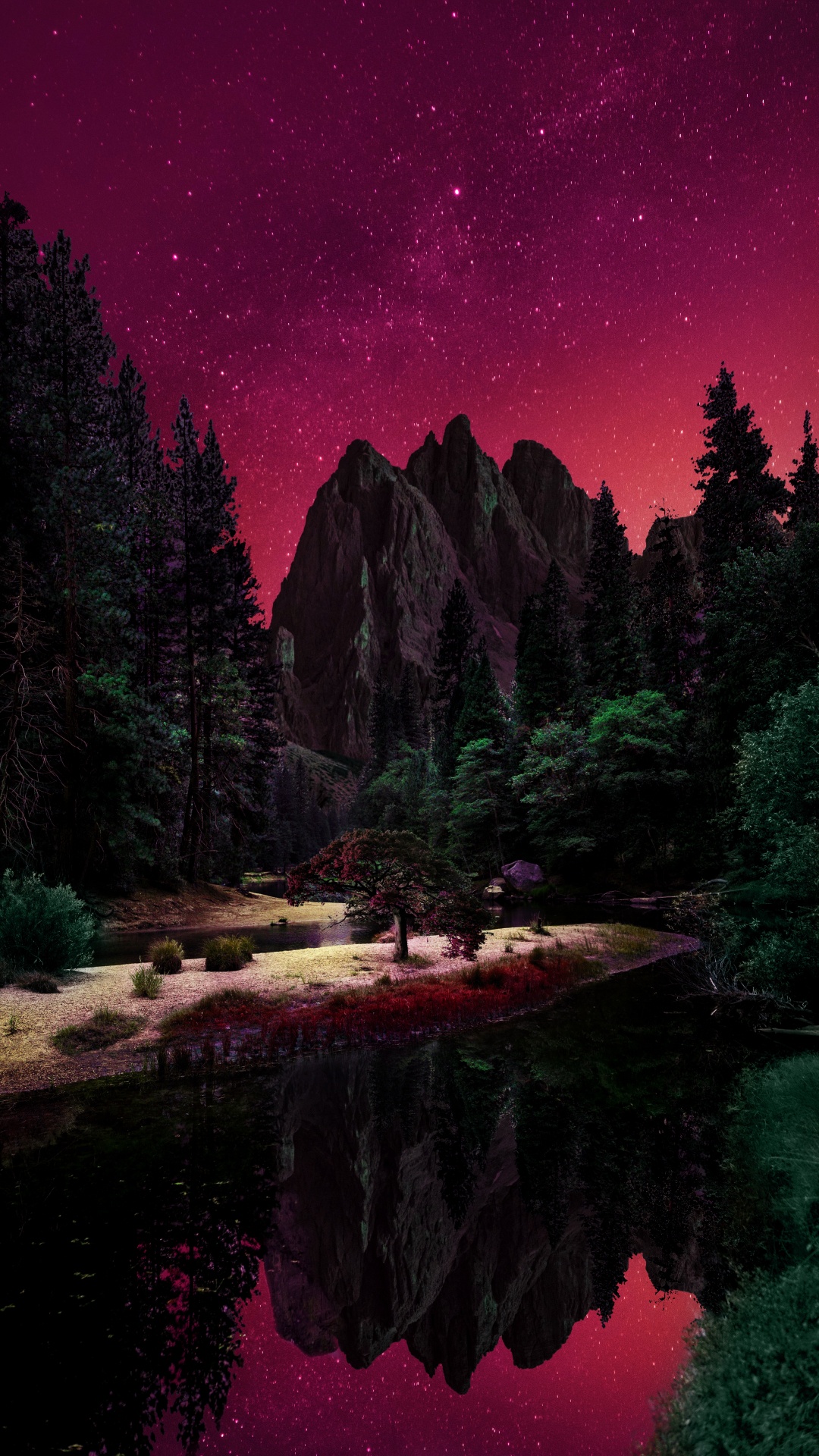 性质, 自然景观, 自然环境, 落叶松 壁纸 1080x1920 允许