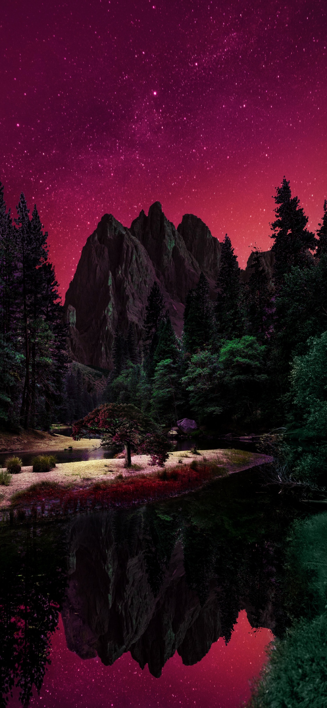 性质, 自然景观, 自然环境, 落叶松 壁纸 1125x2436 允许