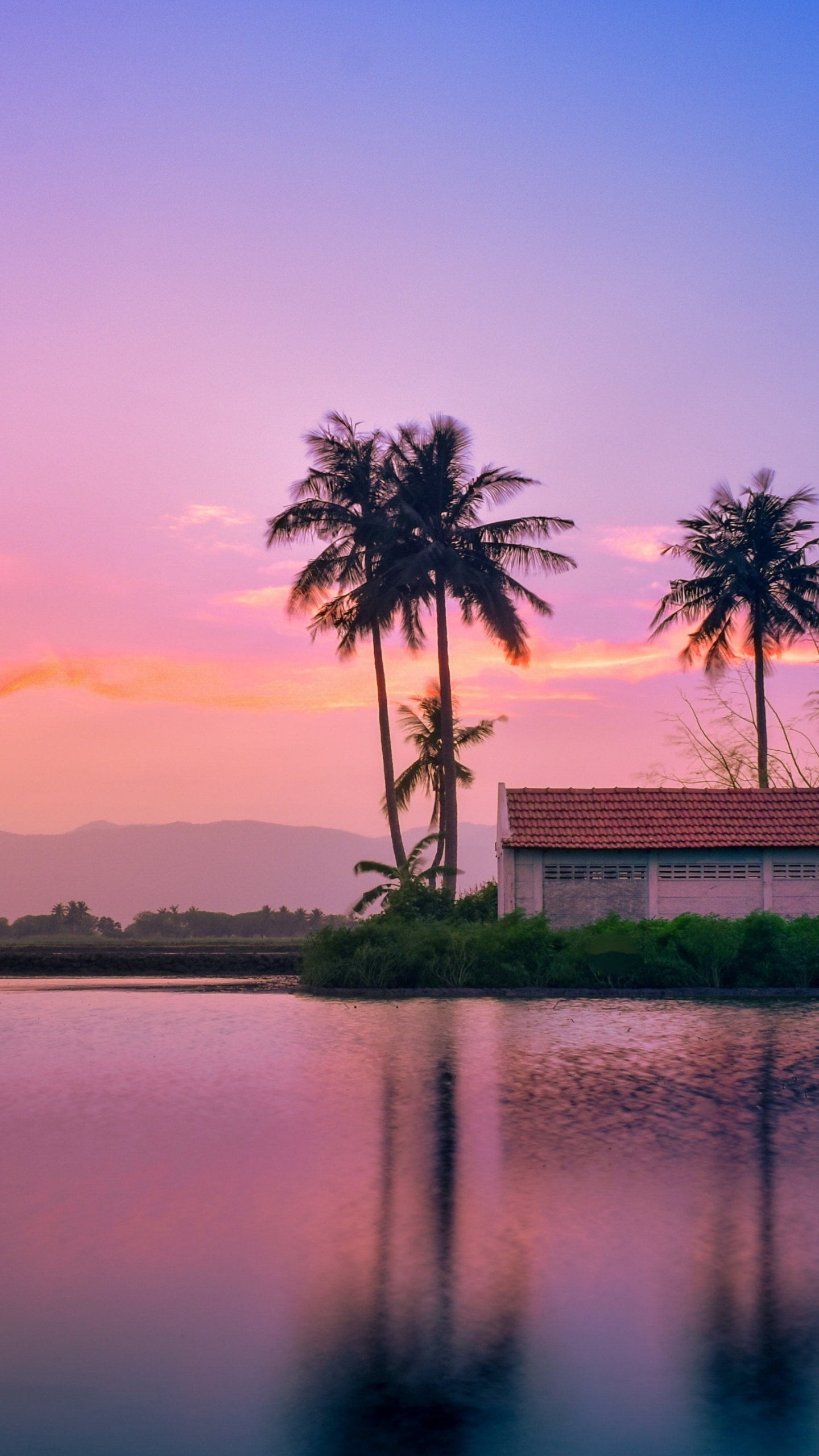 au Coucher du Soleil, Amd Ryzen 5 2600, Calendrier, Eau, Atmosphère. Wallpaper in 1440x2560 Resolution