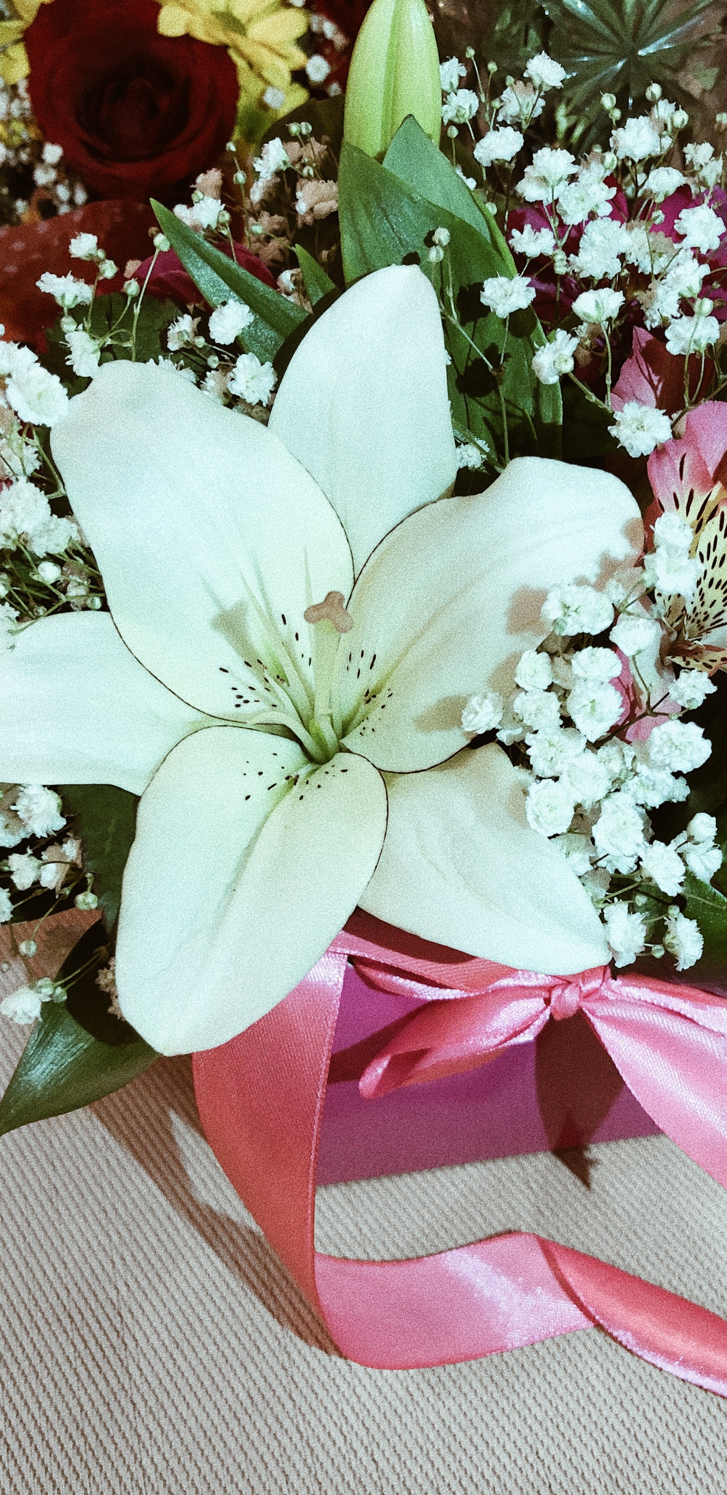 Blumenmuster, Blühende Pflanze, Schnittblumen, Künstliche Blume, Blütenblatt. Wallpaper in 1440x2960 Resolution