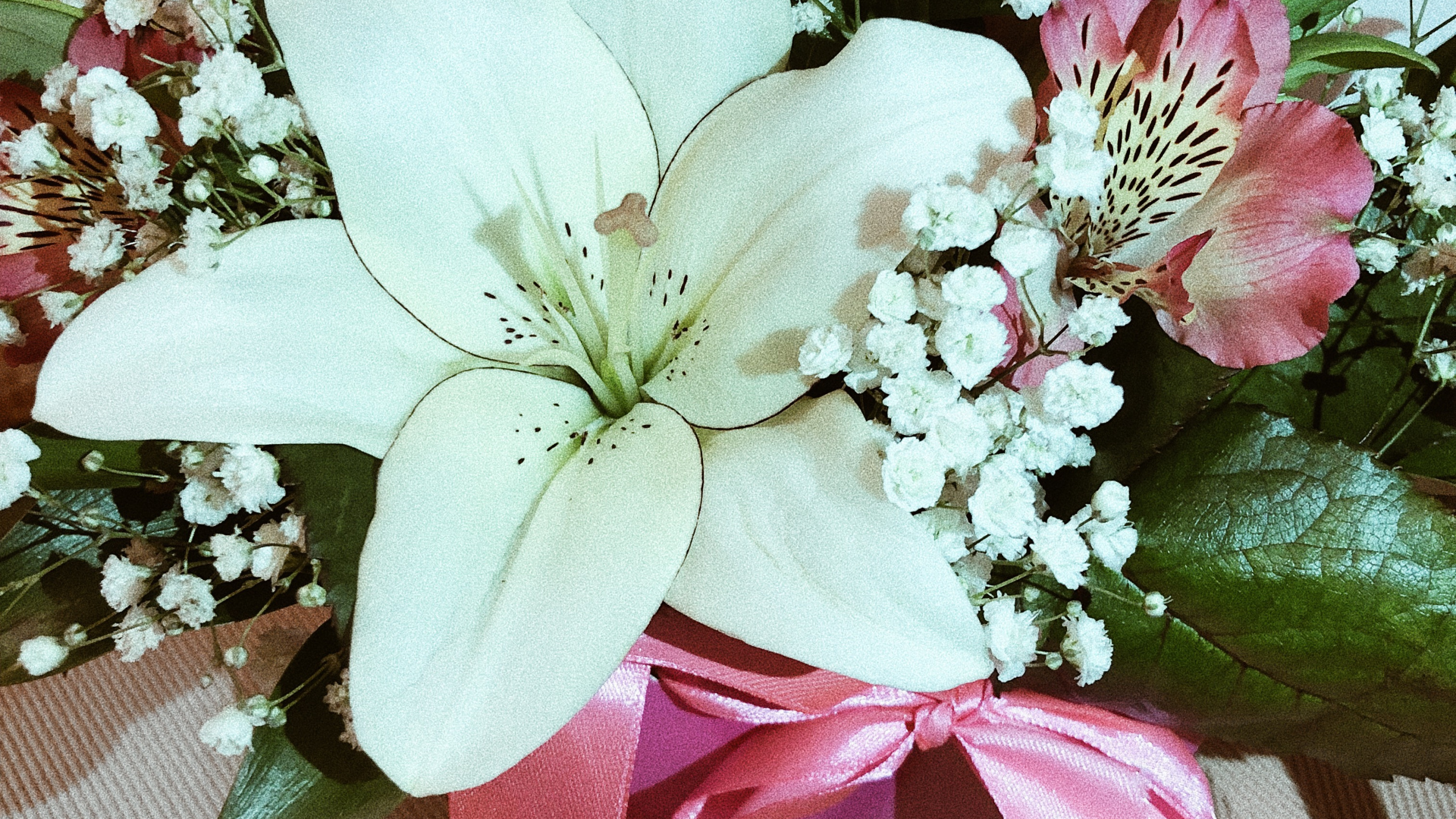 Blumenmuster, Blühende Pflanze, Schnittblumen, Künstliche Blume, Blütenblatt. Wallpaper in 2560x1440 Resolution