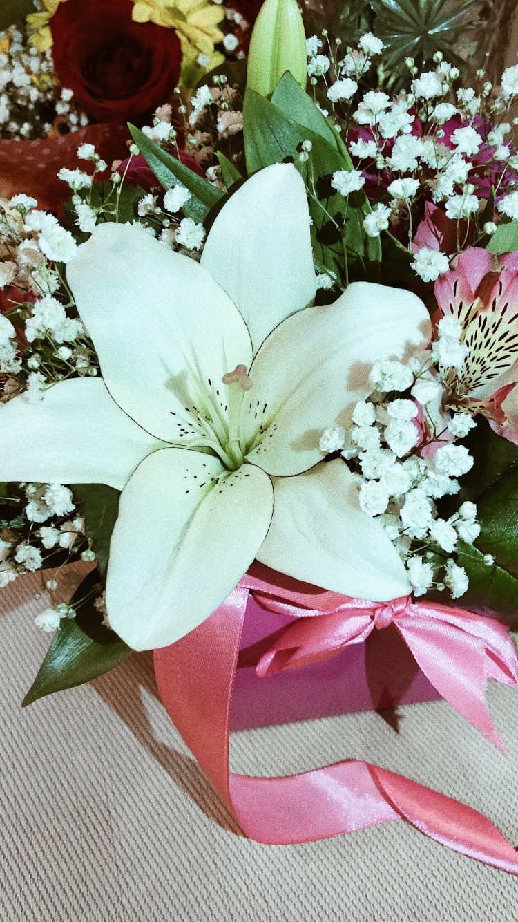 Flower Bouquet, Floral Design, Flowering Plant, Cut Flowers, Artificial Flower. Wallpaper in 750x1334 Resolution