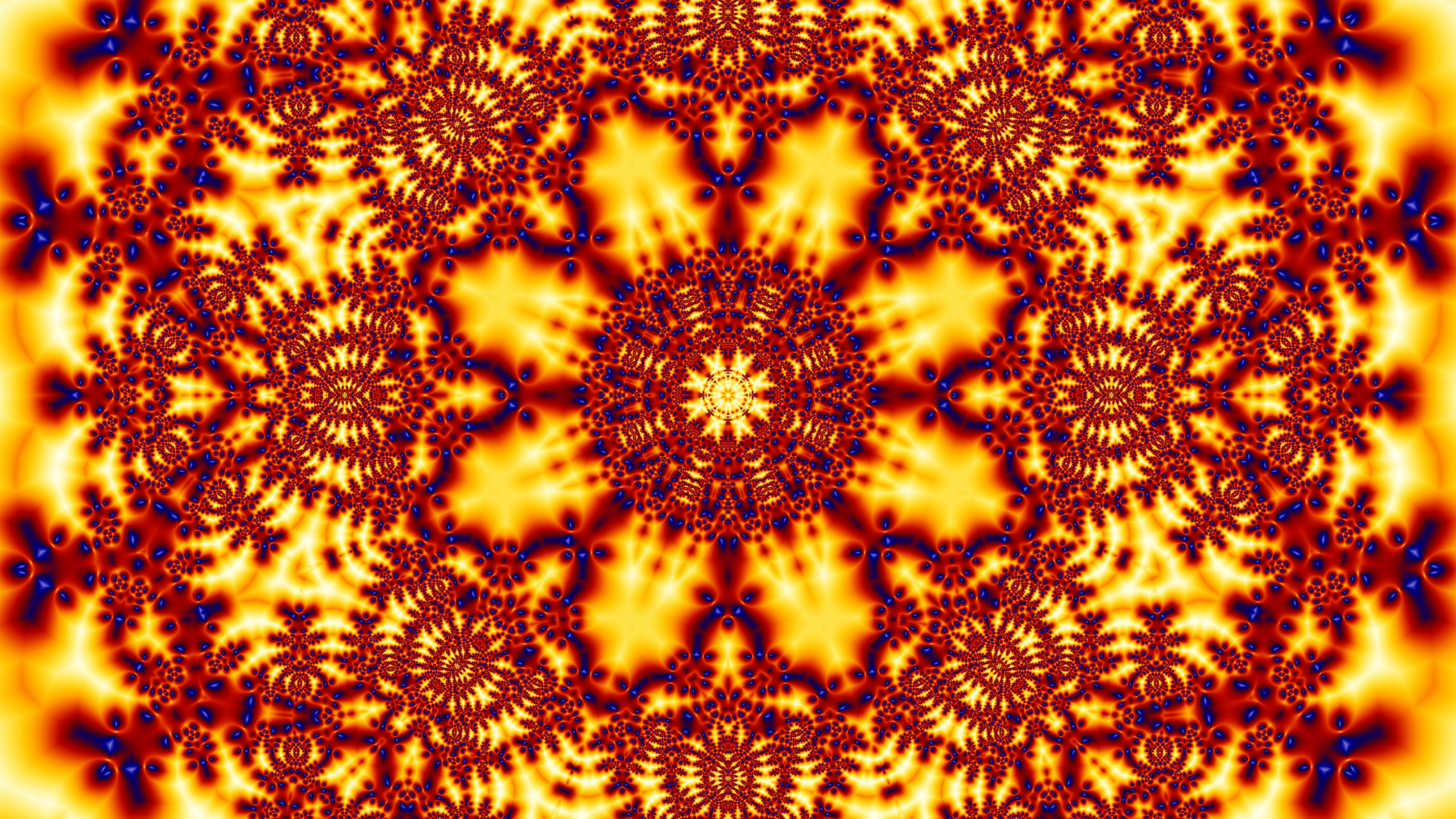 Yellow and Black Floral Textile. Wallpaper in 2560x1440 Resolution