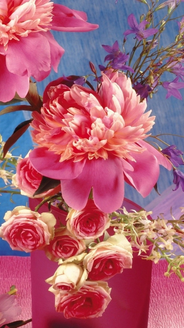 仍然生活, 品红色, 粉红色, 牡丹, 切花 壁纸 750x1334 允许