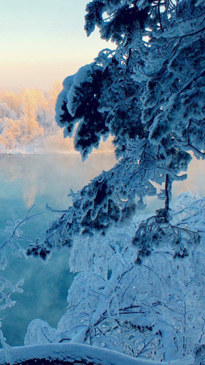 Snow Covered Trees Near River During Daytime. Wallpaper in 720x1280 Resolution