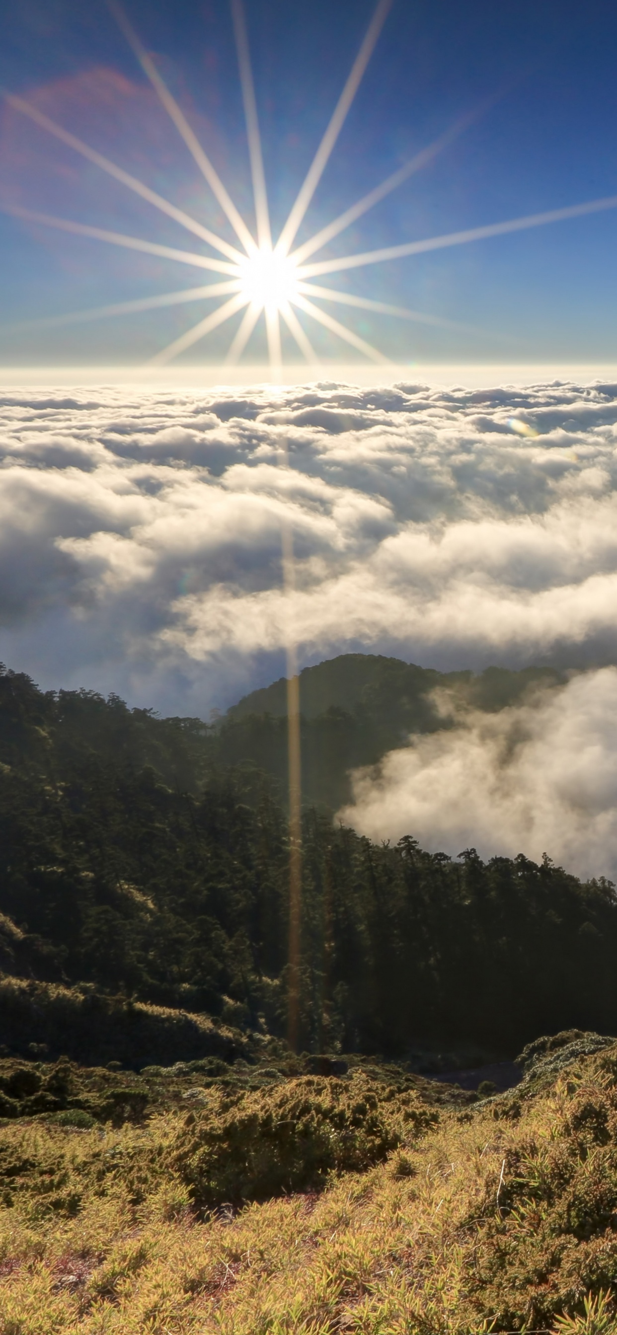 山脉, 高地, 多山的地貌, 荒野, 积云 壁纸 1242x2688 允许