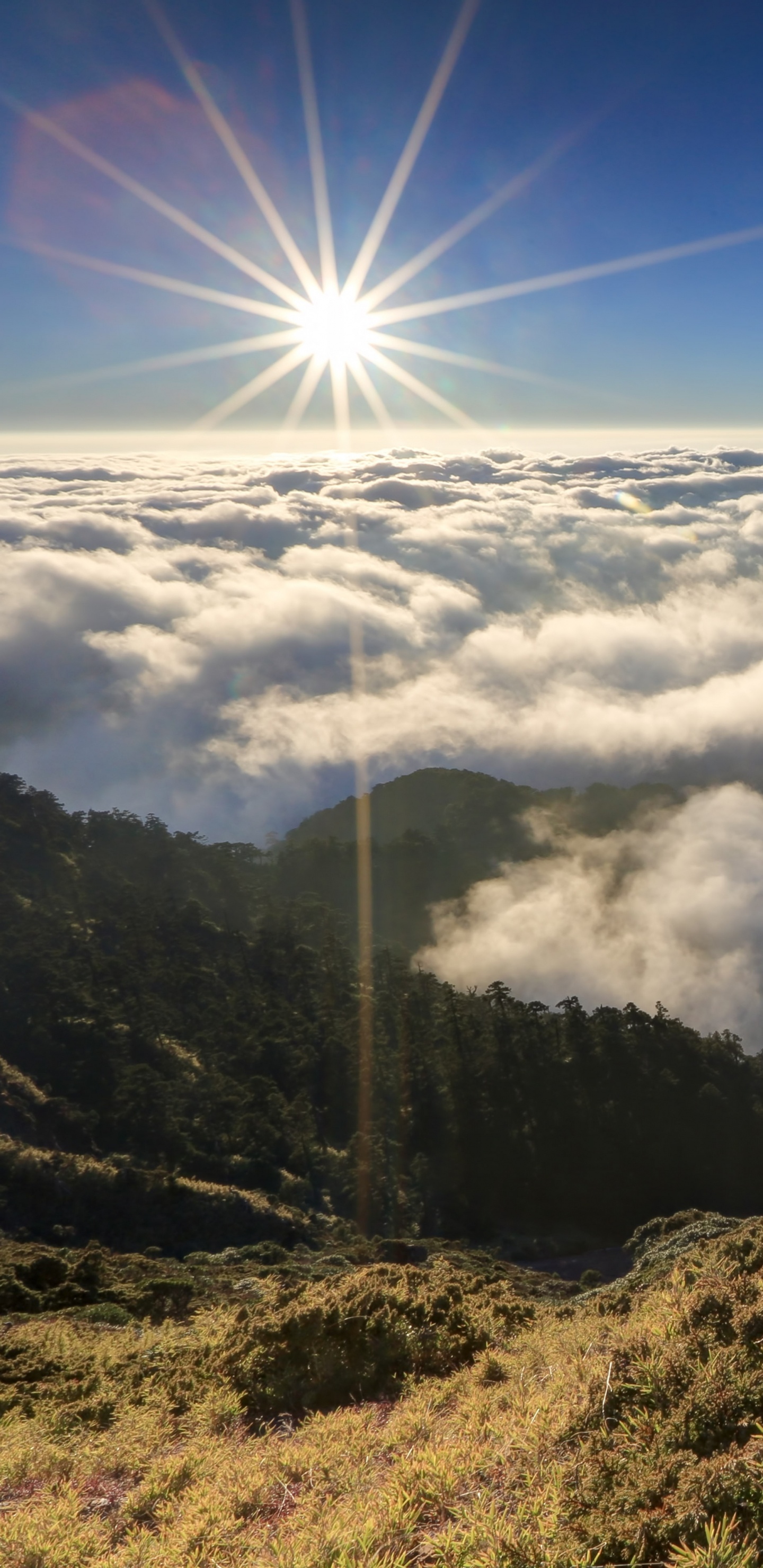 Green Grass Field Under Blue Sky During Daytime. Wallpaper in 1440x2960 Resolution