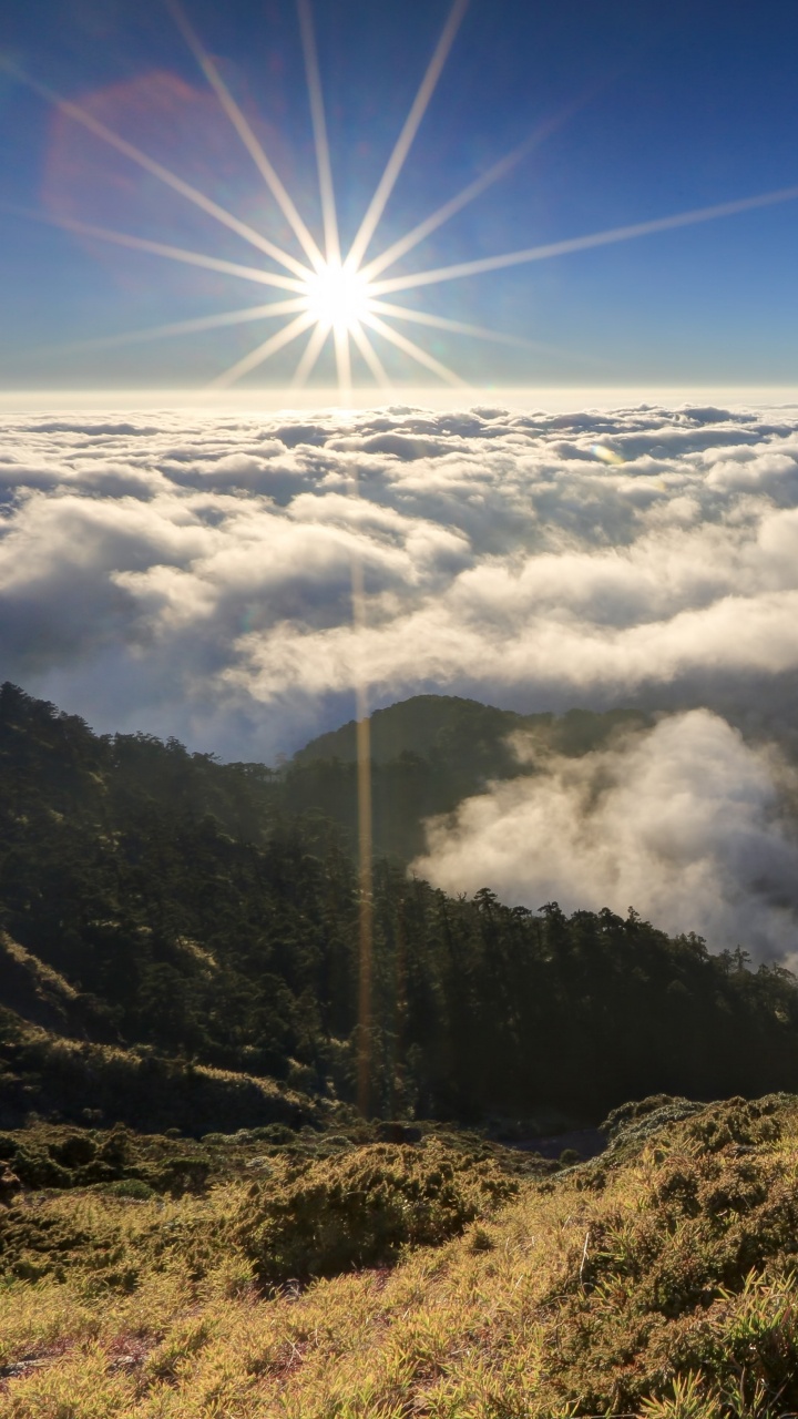 Tagsüber Grüne Wiese Unter Blauem Himmel. Wallpaper in 720x1280 Resolution
