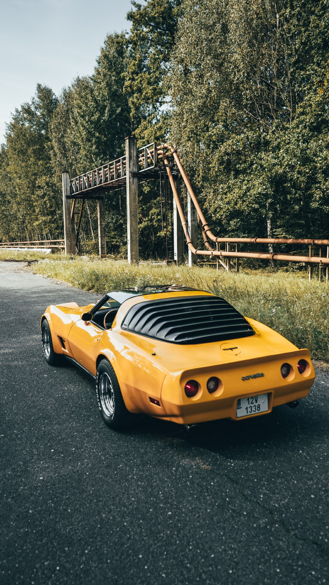 Deportivo, Coche, Dodge Challenger, Porsche 911, Tope. Wallpaper in 1080x1920 Resolution