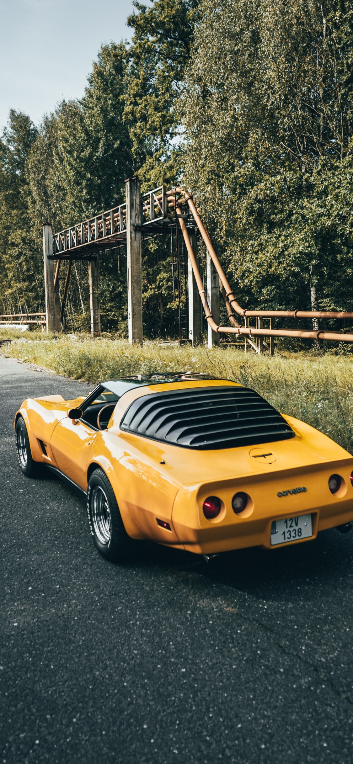 Deportivo, Coche, Dodge Challenger, Porsche 911, Tope. Wallpaper in 1125x2436 Resolution