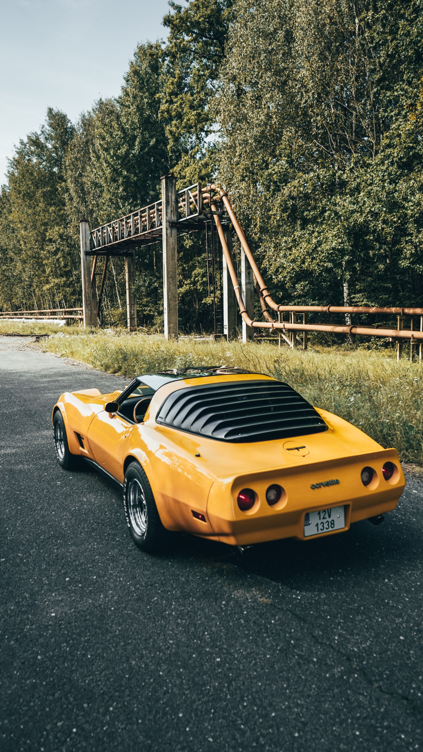 Deportivo, Coche, Dodge Challenger, Porsche 911, Tope. Wallpaper in 1440x2560 Resolution