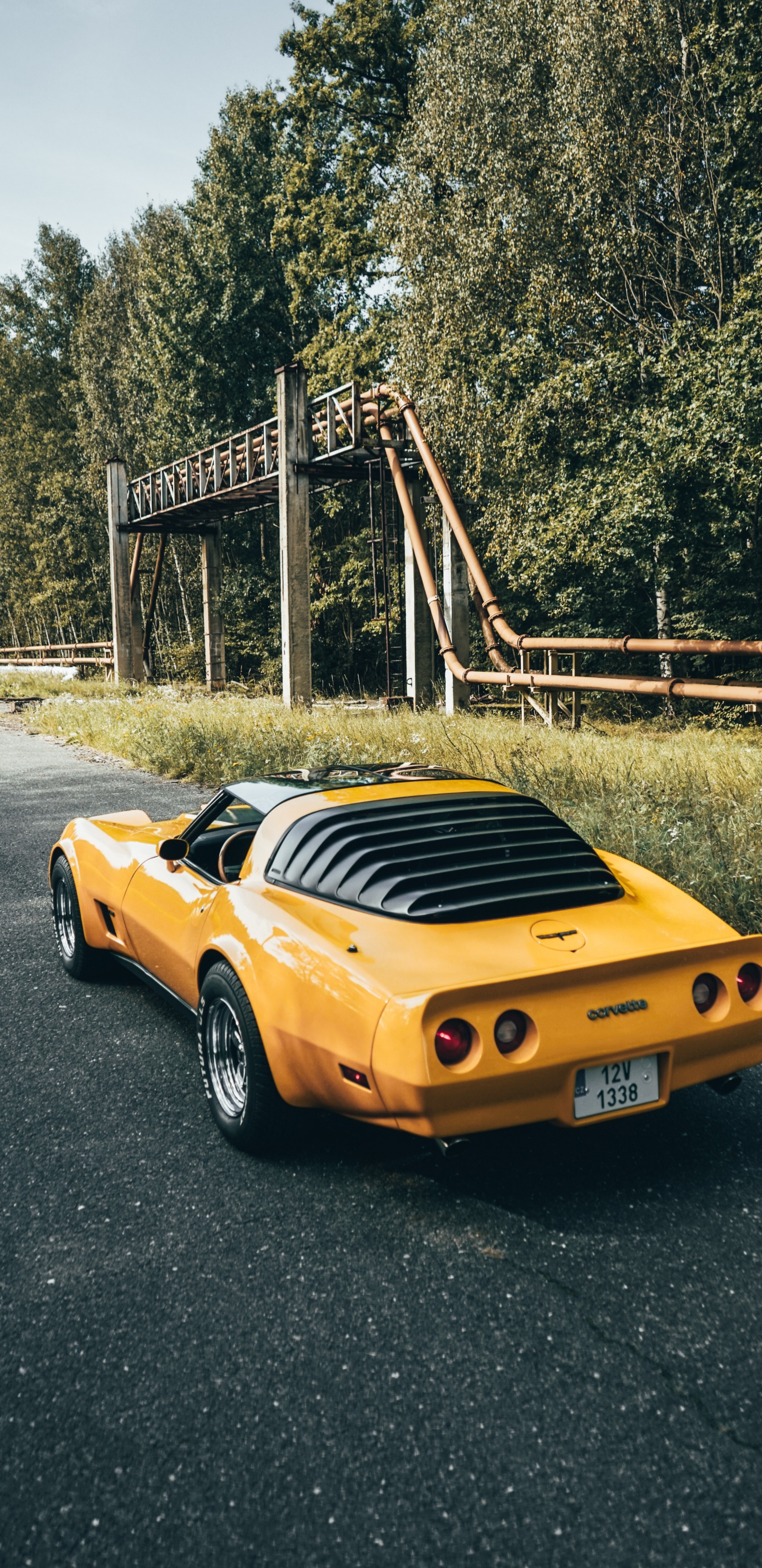 Deportivo, Coche, Dodge Challenger, Porsche 911, Tope. Wallpaper in 1440x2960 Resolution