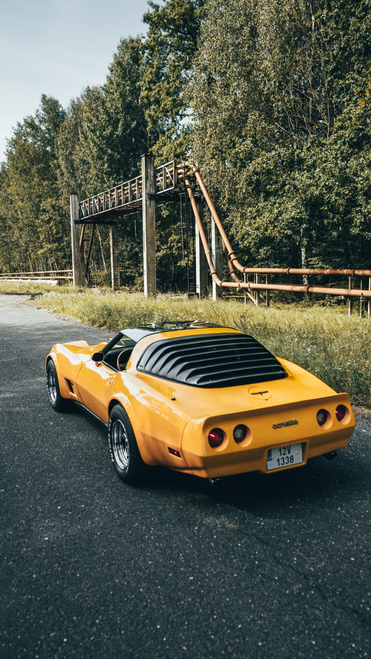 Dodge Challenger, Porsche 911, Pare-chocs, Roue, de Voiture de Muscle. Wallpaper in 750x1334 Resolution