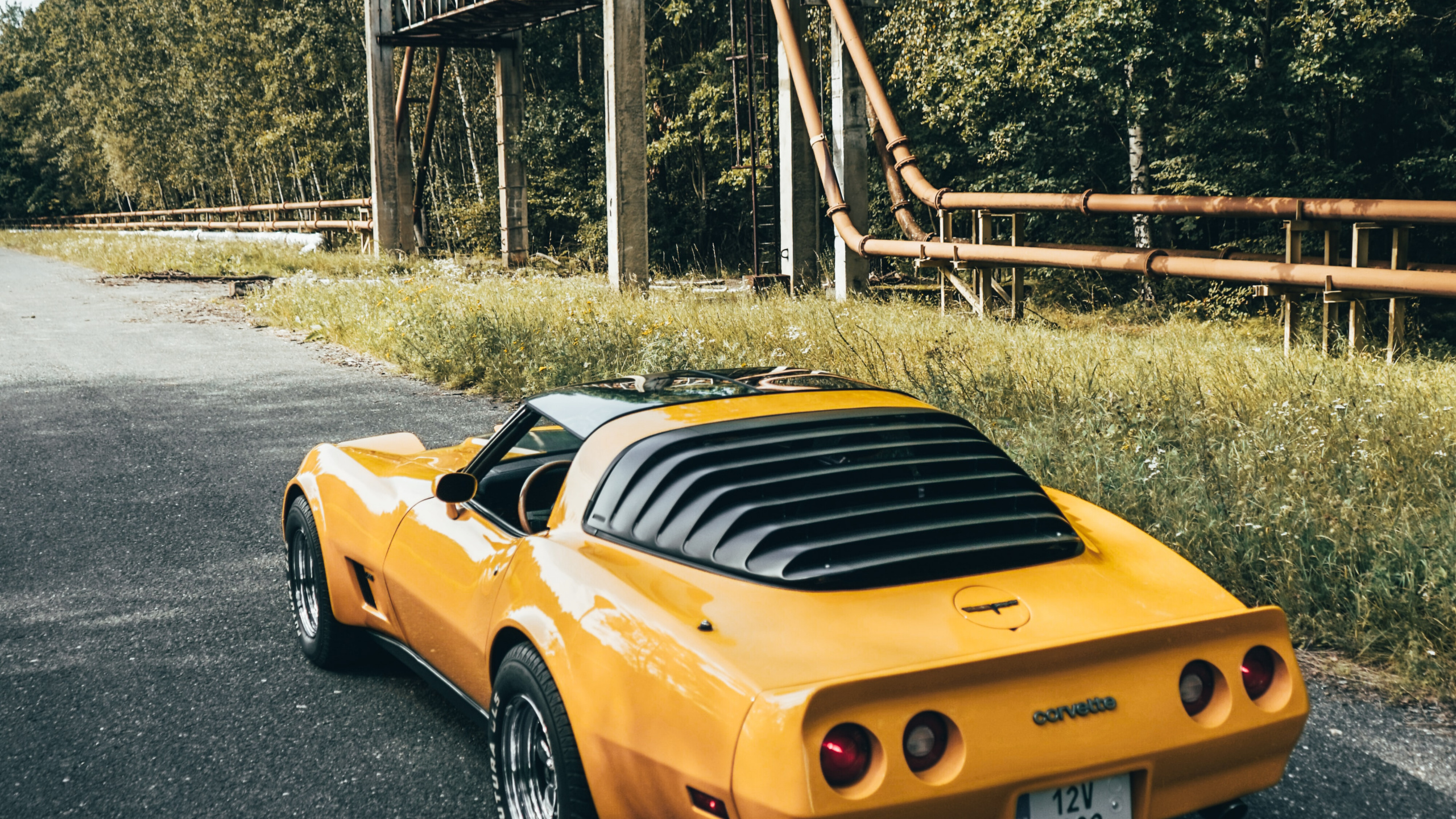 Sports Car, Cars, Dodge Challenger, Porsche 911, Bumper. Wallpaper in 2560x1440 Resolution