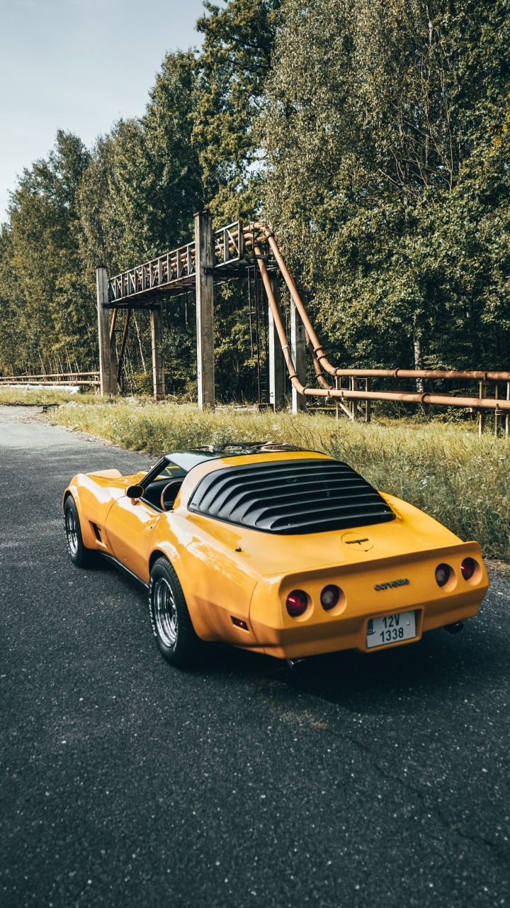 Sportwagen, Car, Dodge Challenger, Porsche 911, Stoßstange. Wallpaper in 720x1280 Resolution