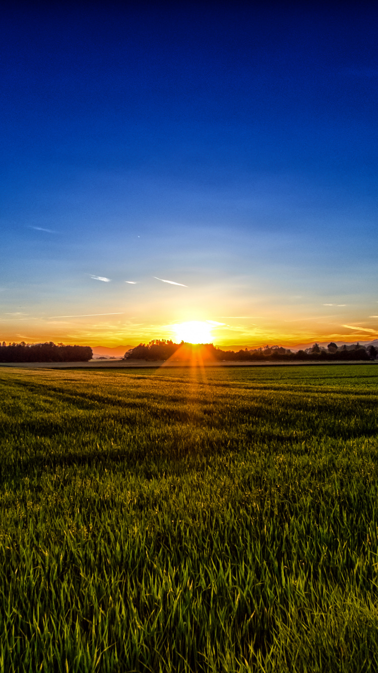 Campo de Hierba Verde Durante el Amanecer. Wallpaper in 750x1334 Resolution