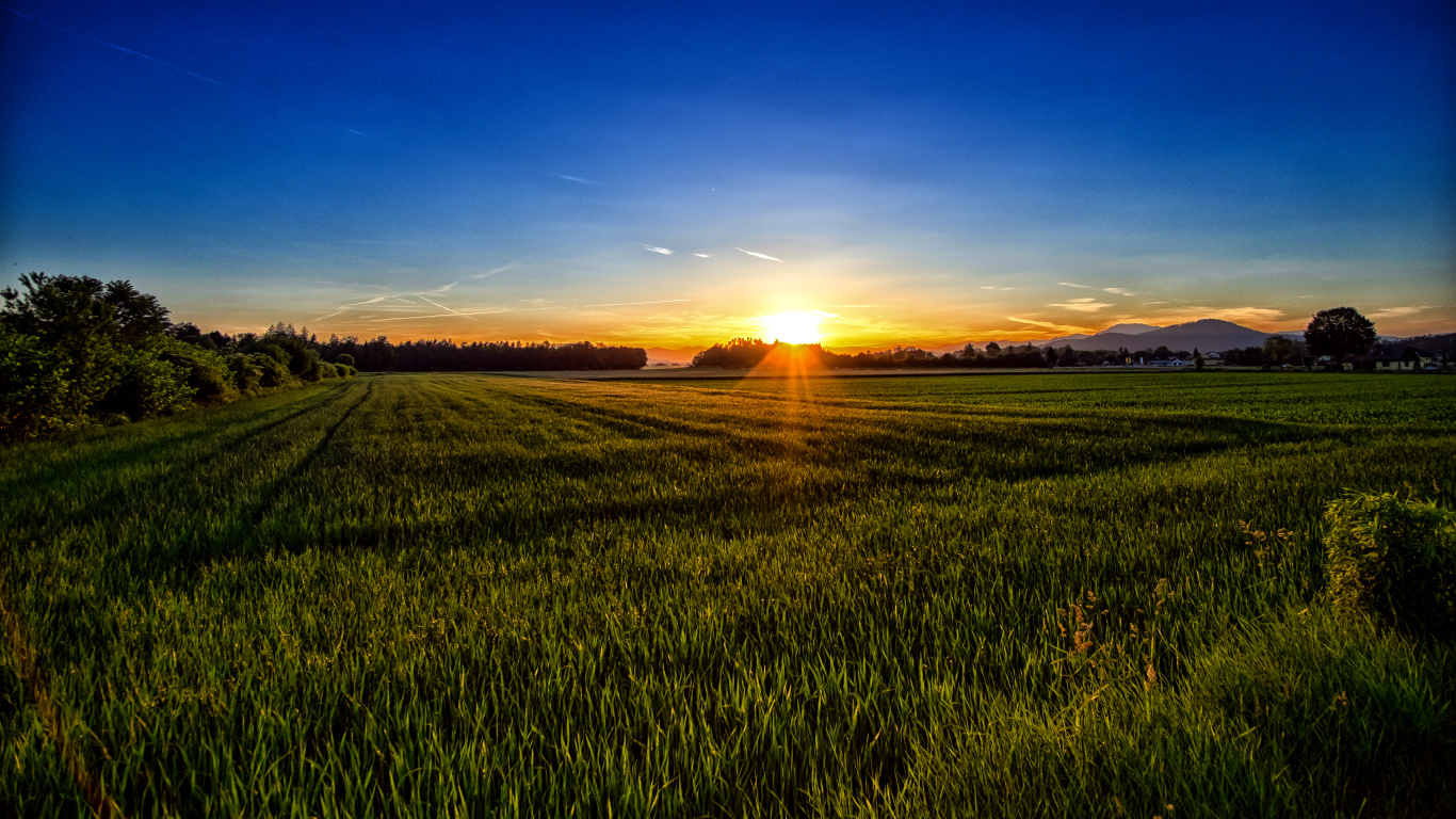 Green Grass Field During Sunrise. Wallpaper in 1366x768 Resolution