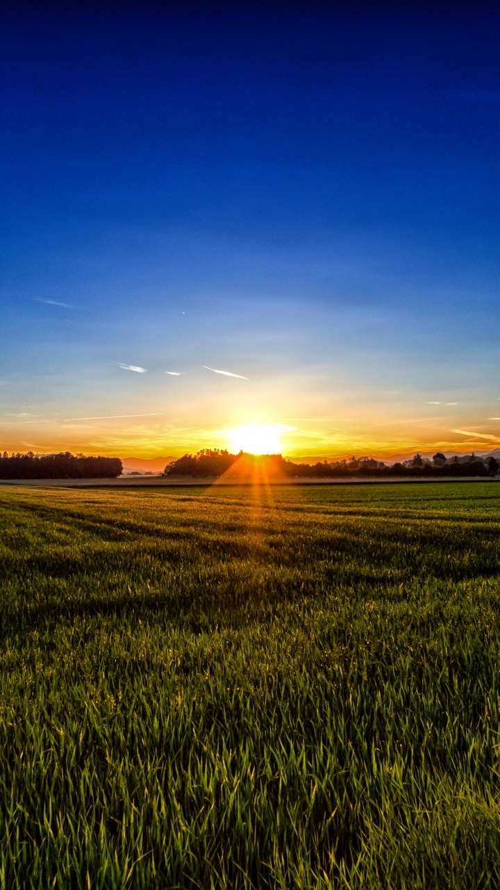 Green Grass Field During Sunrise. Wallpaper in 720x1280 Resolution