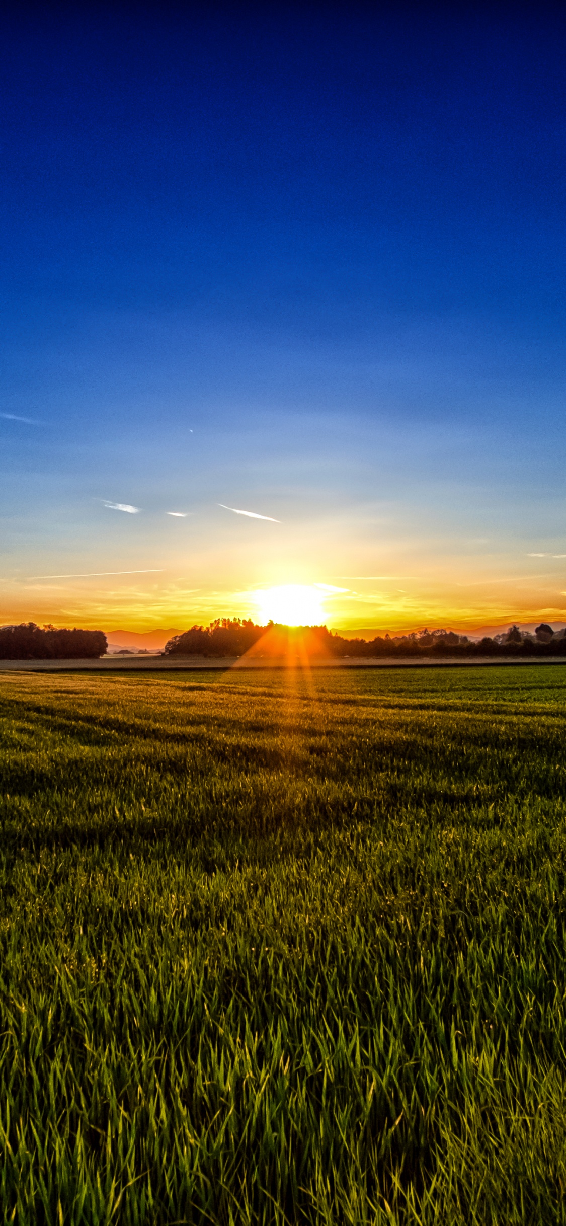 Grüne Wiese Bei Sonnenaufgang. Wallpaper in 1125x2436 Resolution