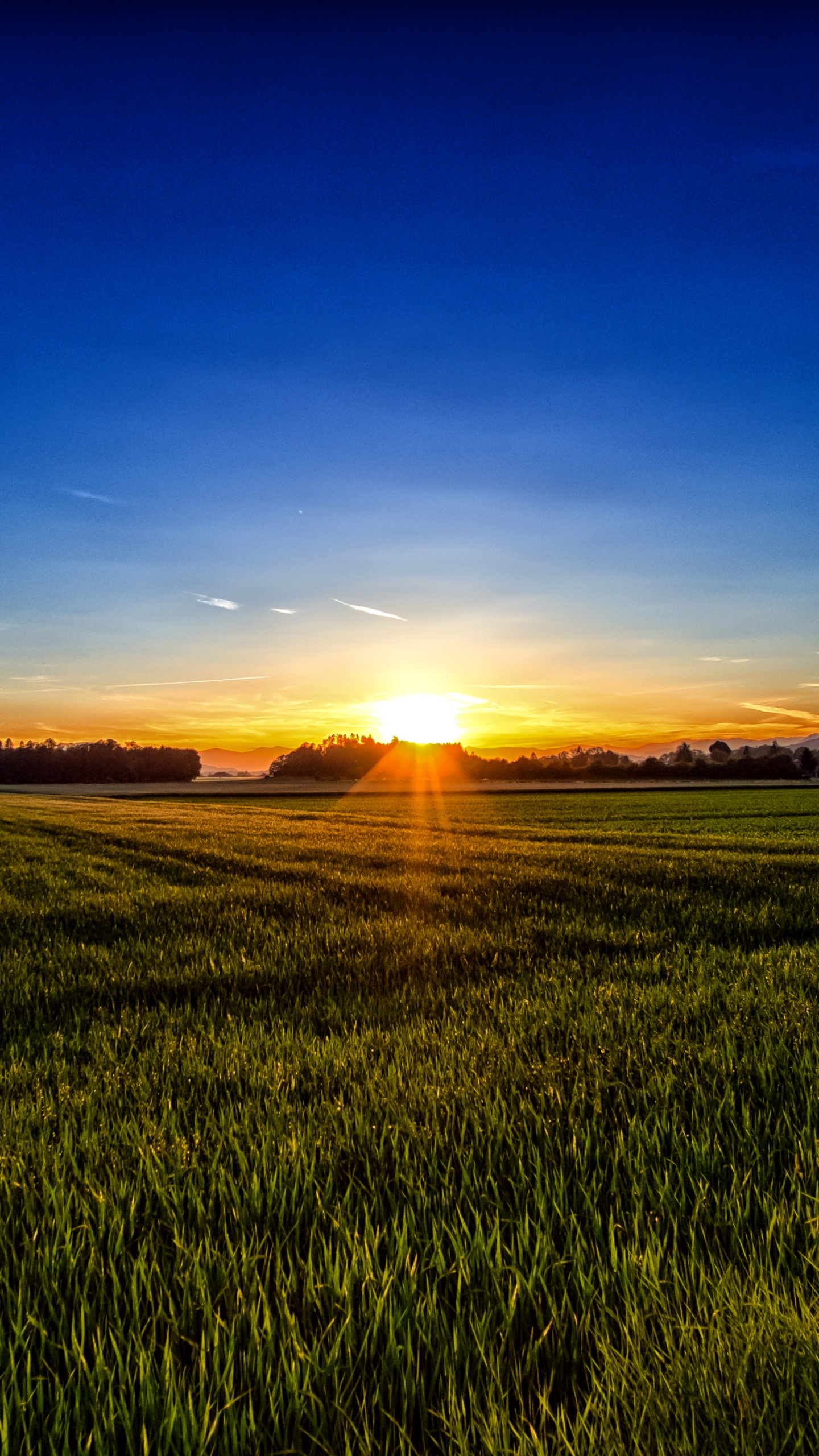 Grüne Wiese Bei Sonnenaufgang. Wallpaper in 1440x2560 Resolution