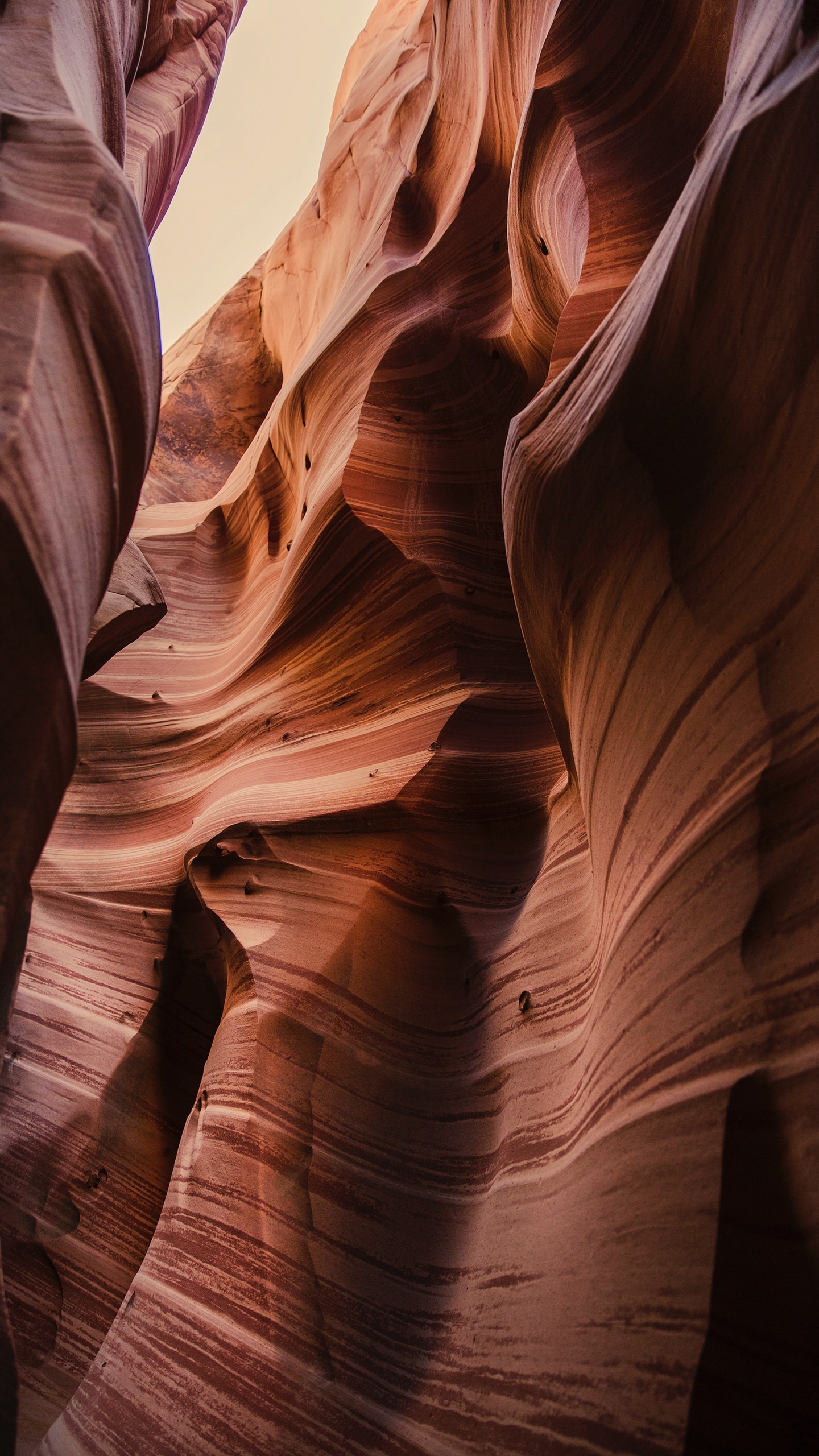Canyon, Formation, Géologie, Rock, Narrows. Wallpaper in 1440x2560 Resolution