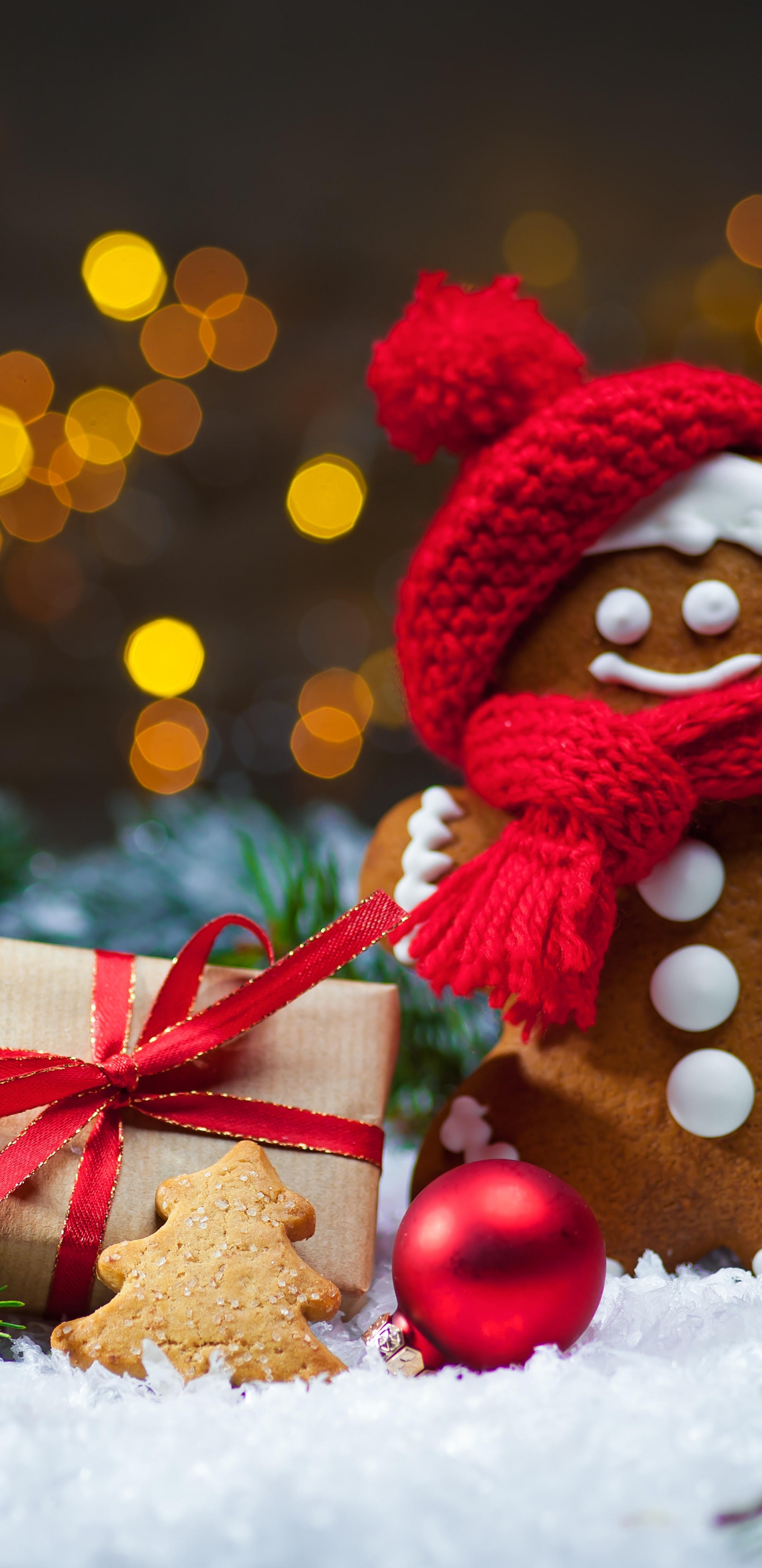 Christmas Day, Gingerbread, Christmas, Christmas Ornament, Christmas Lights. Wallpaper in 1440x2960 Resolution