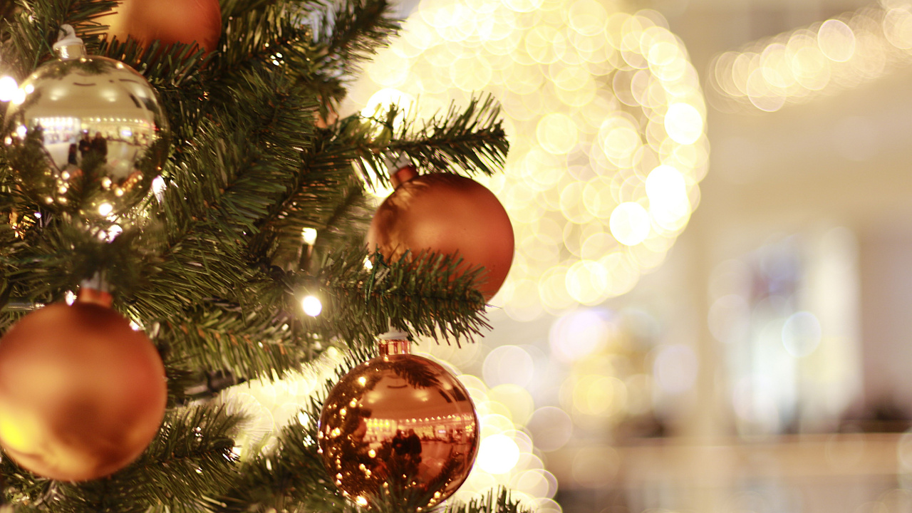 Christmas Tree, Christmas Ornament, Christmas Day, Christmas Lights, Christmas Decoration. Wallpaper in 1280x720 Resolution