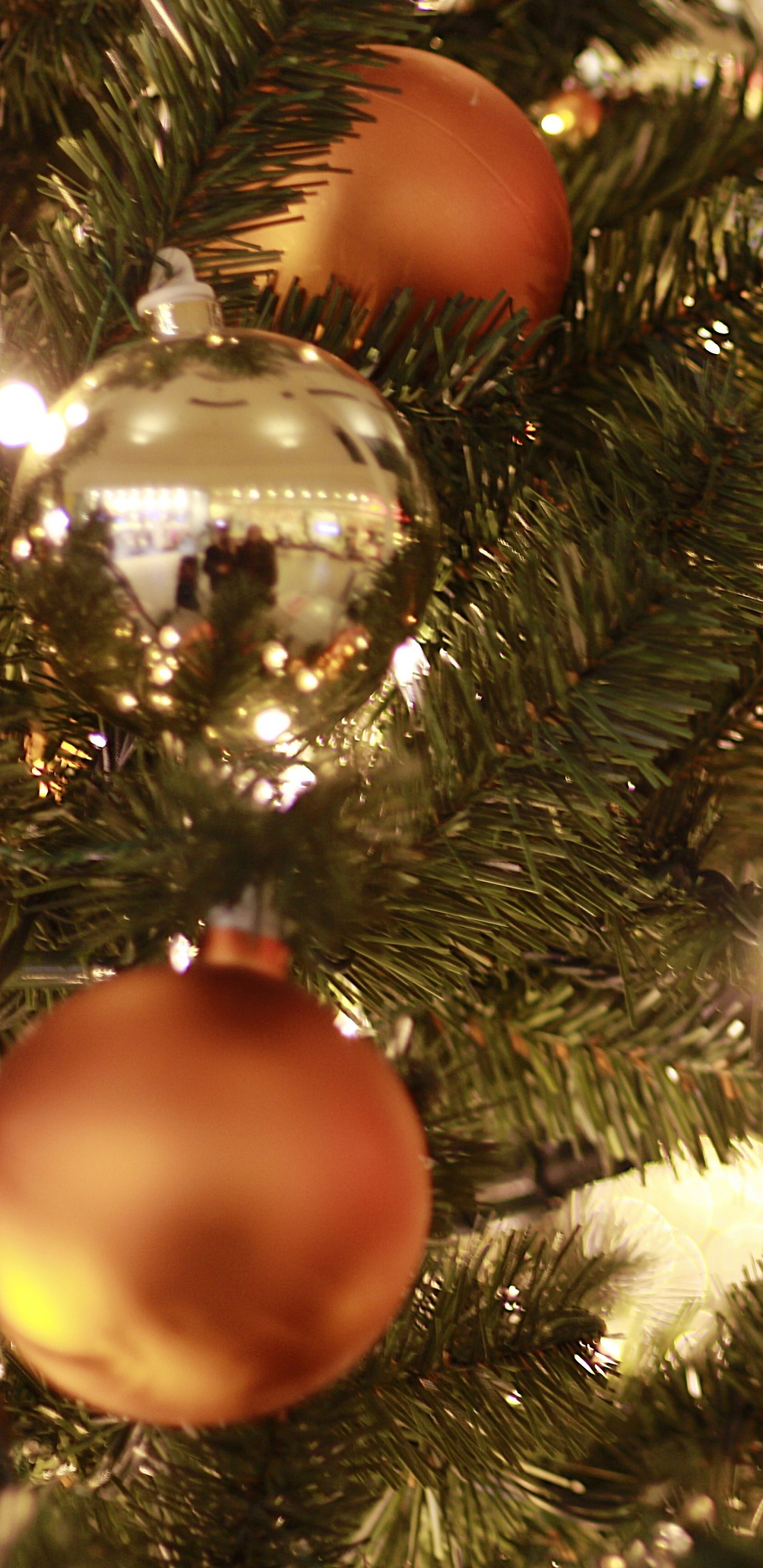 Christmas Tree, Christmas Ornament, Christmas Day, Christmas Lights, Christmas Decoration. Wallpaper in 1440x2960 Resolution