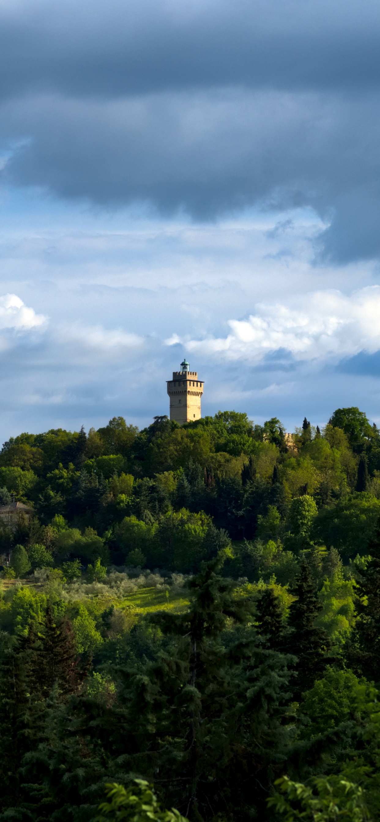 Natur, Cloud, Vegetation, Gr, Hill. Wallpaper in 1242x2688 Resolution